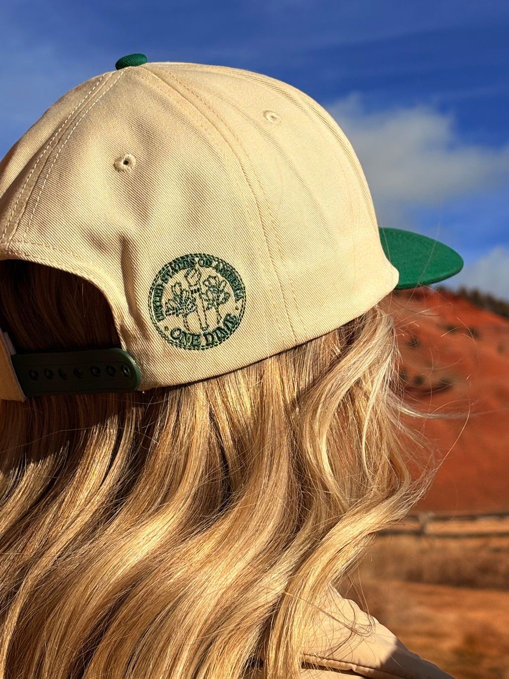 "JUST A DIME STORE COWGIRL" image 1