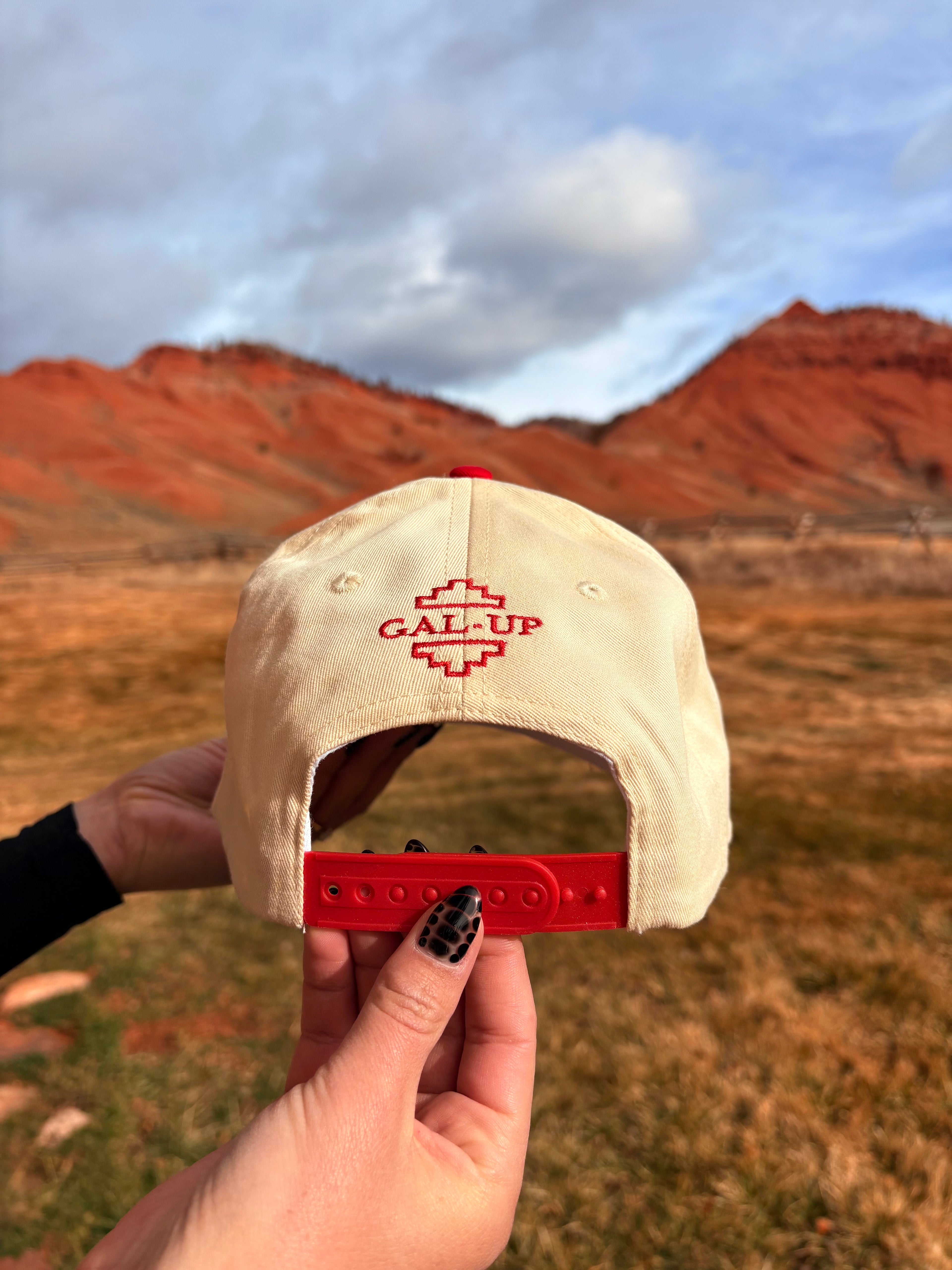 "NOW THAT'S A COWGIRL" image 1