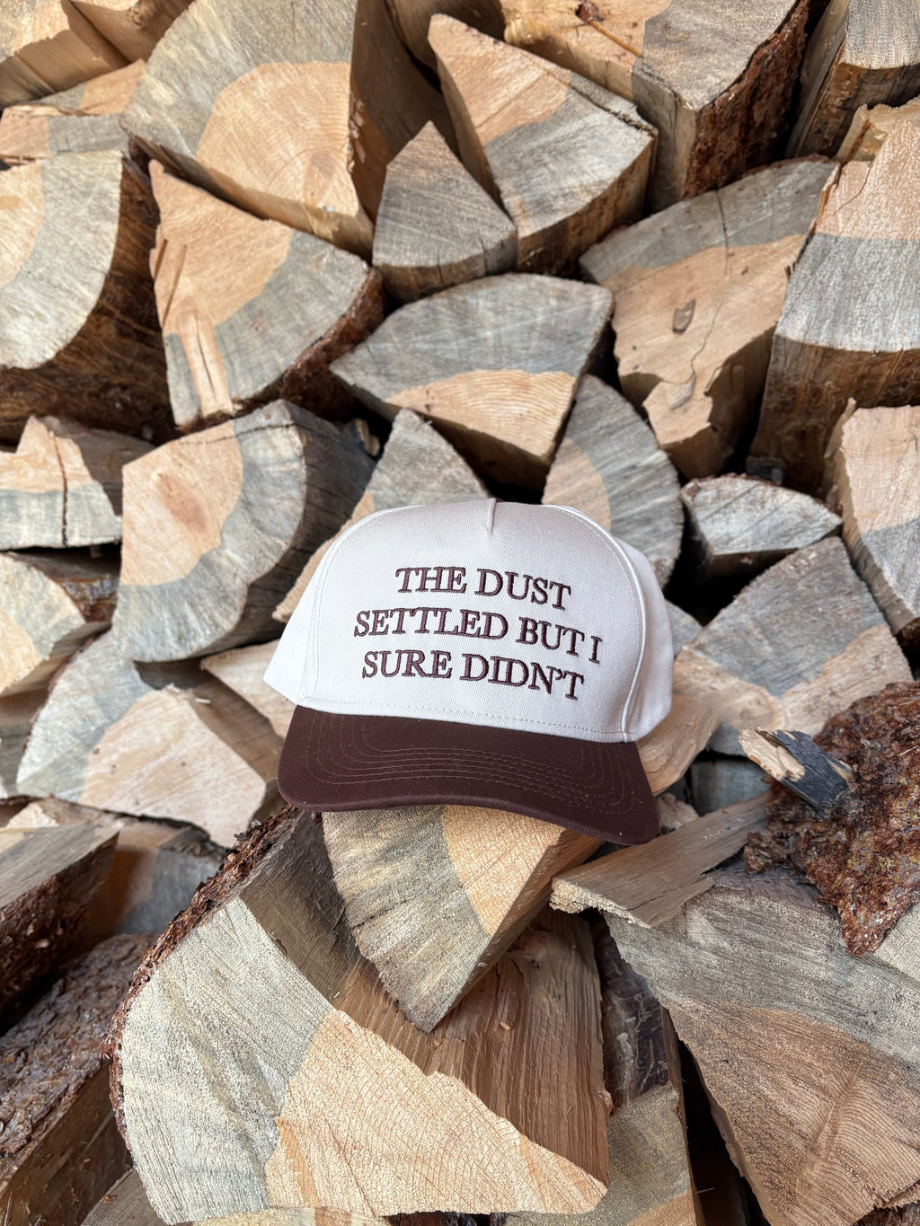 "THE DUST SETTLED BUT I SURE DIDN'T" image 2