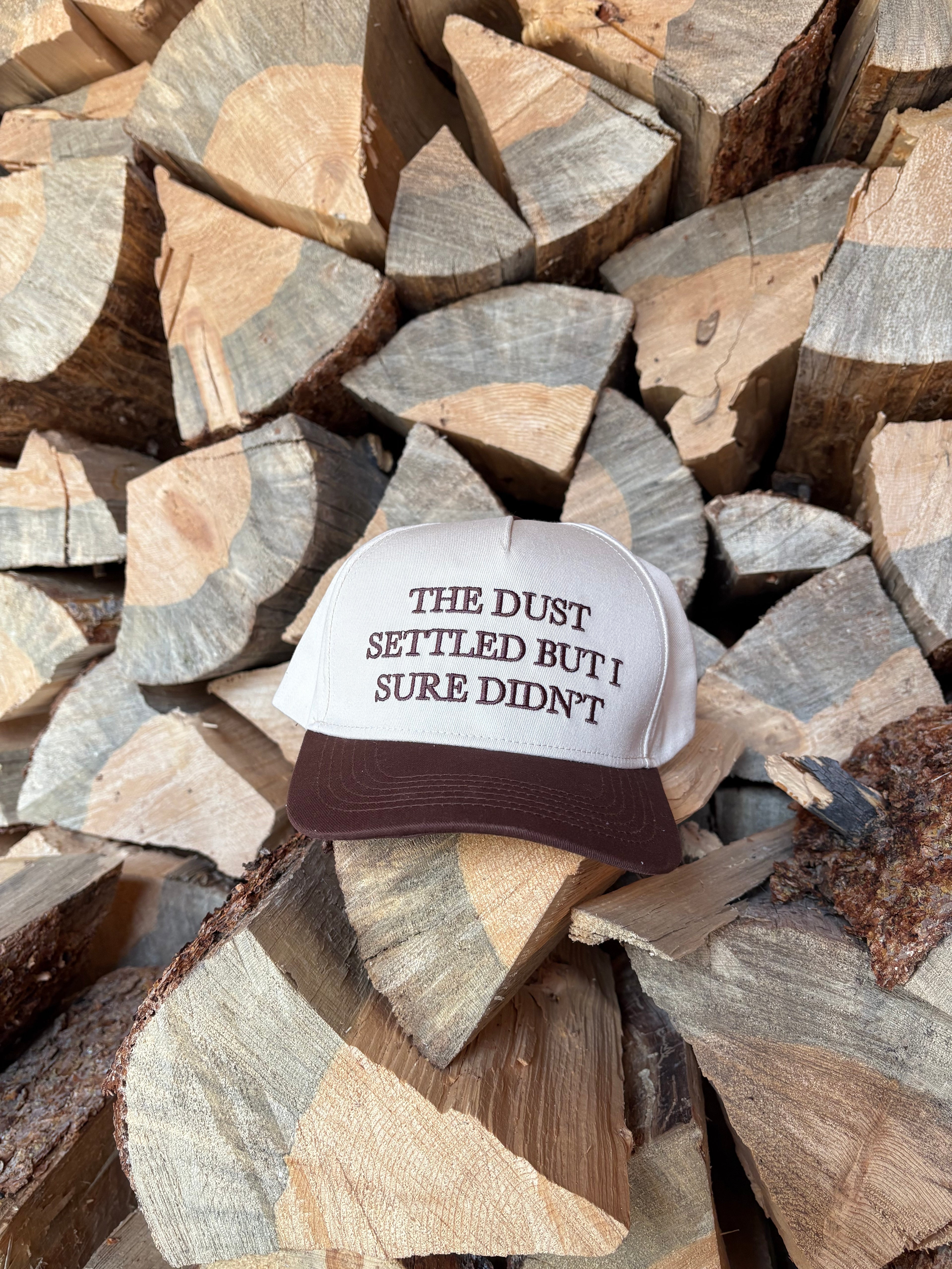 "THE DUST SETTLED BUT I SURE DIDN'T" image 2