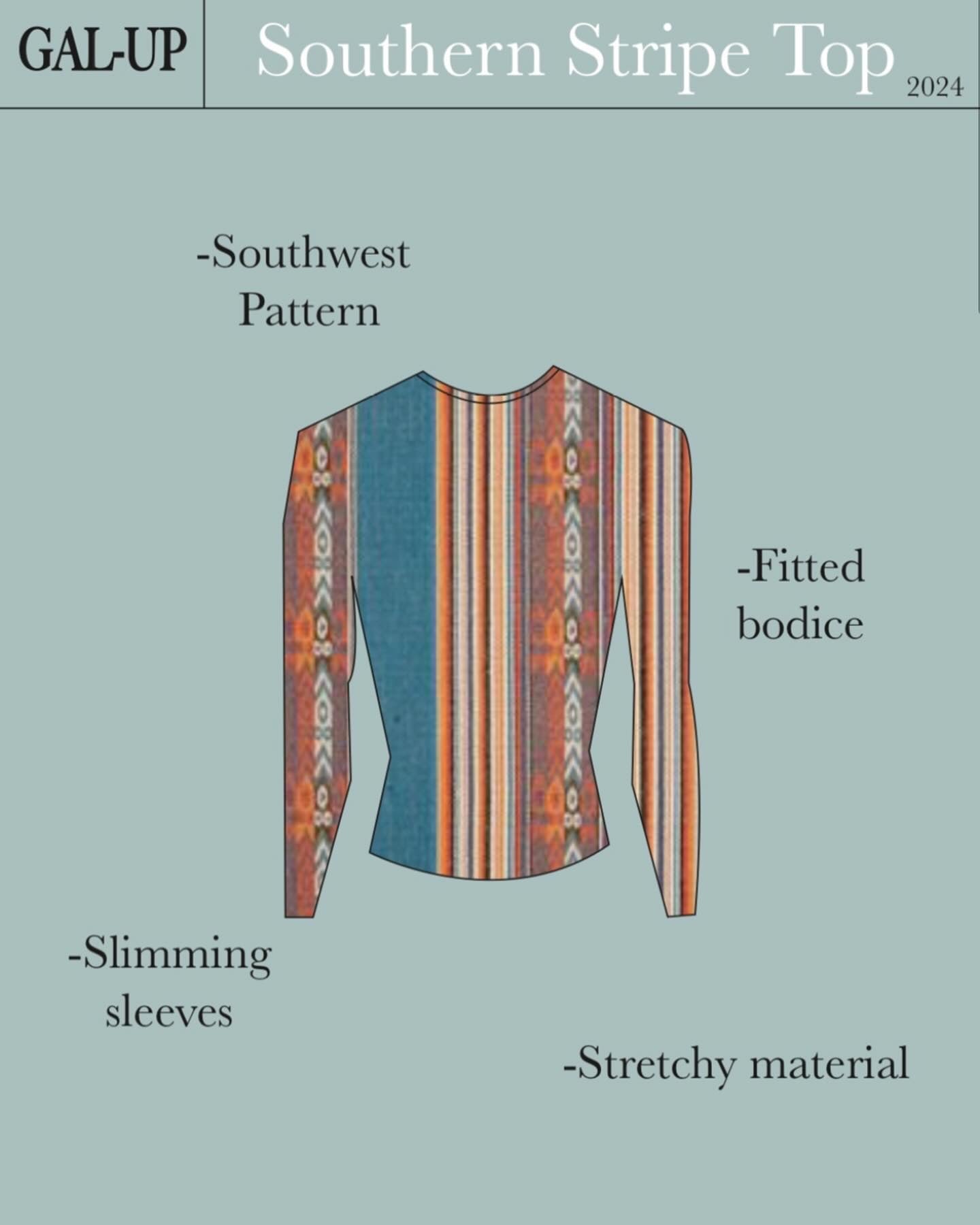 Southern Stripes Top image 3